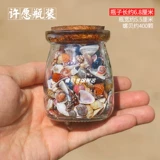 Загадайте желание 𫖸6 видов сверхмаленьких ракушек в бутылках, морские звезды, стеклянный песок, натуральные образцы, украшения своими руками ручной работы.