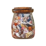 Загадайте желание 𫖸6 видов сверхмаленьких ракушек в бутылках, морские звезды, стеклянный песок, натуральные образцы, украшения своими руками ручной работы.