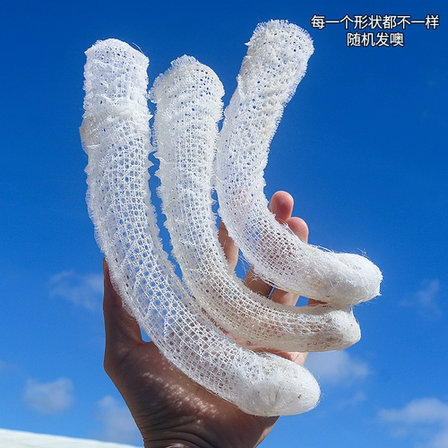 Натуральные сетевые улитки и раковина Zi Lao Tongxue, креветки, монтажный рам