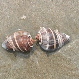 Натуральный декор из смолы ручной работы, сменный декор для аквариума, DIY