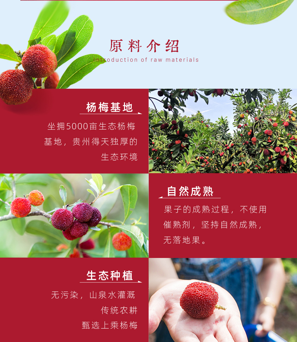 成有王记 冰杨梅汁 368ml*4瓶 图8