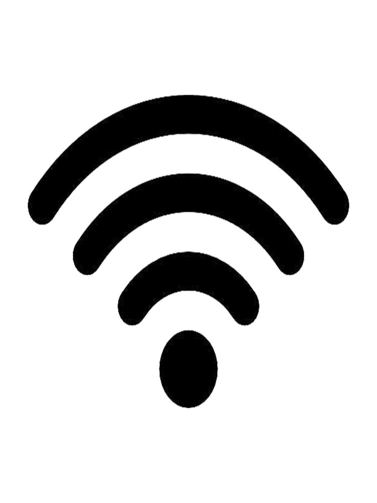 Network Problems, Unable to Connect to the Computer, Remote Debugging and Maintenance Consultation, Dns Diagnosis and Repair Technical Services