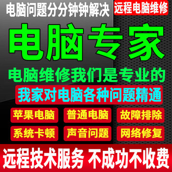 Computer Troubleshooting and Technical Support, Remote Online Guidance, Problem Consultation and Resolution, System Repair Services