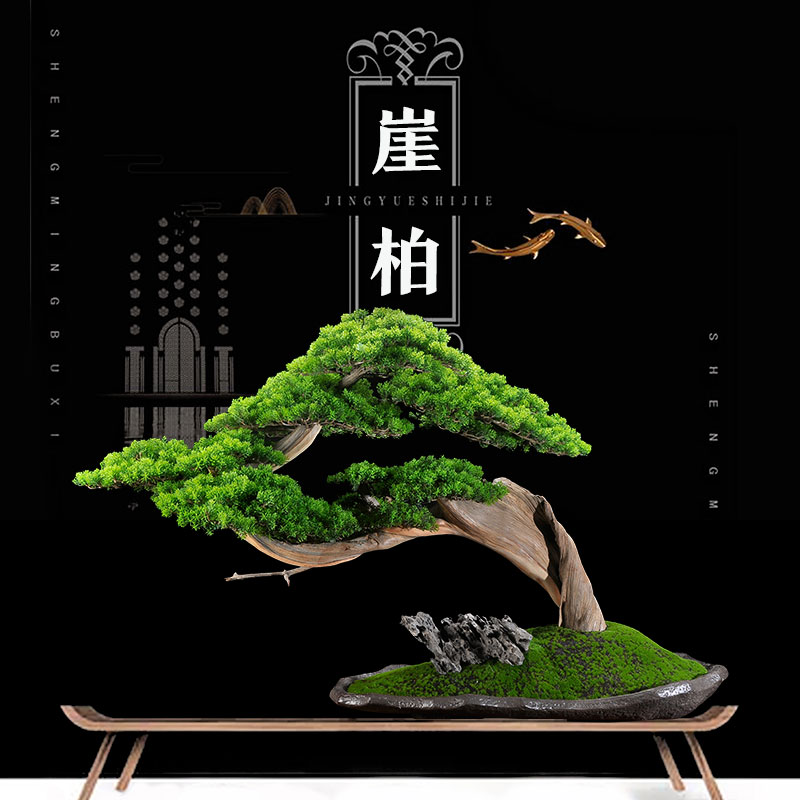 Simulation Tree Greet Visitors Pine Bonsai Cliff Berpotted Indoor Genguan Green Planting Pendulum Pieces Pine Emulation Green Plant Artificial Trees