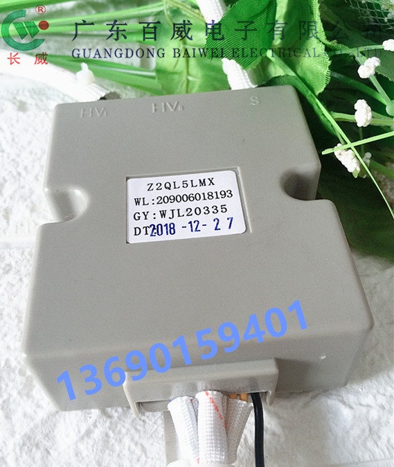 Macro embedded gas furnace accessories special thermocouple type pulse igniter Z2QL5LMX