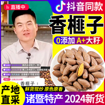 Torreya 2024 New Arrival Nuts Zhuji Specialty Effects Old Tree Xiangfei Nuts 500g Official Flagship Store