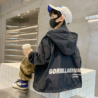 Скрытый зеленый