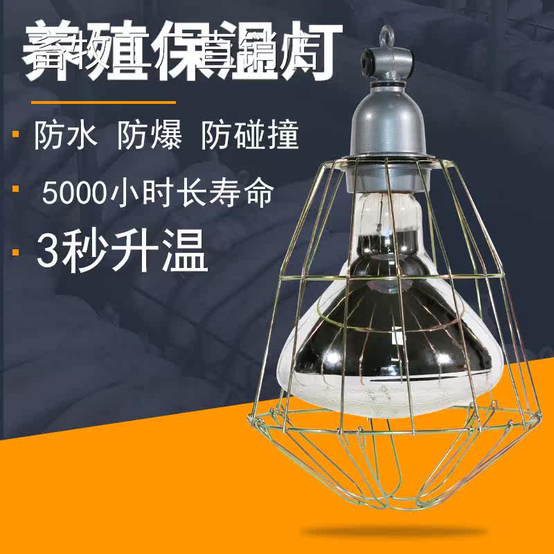 Breeding Insulation Lamp Lampshade Small Chicken Heating Light Bulb Livestock Pig Use Heating Chicks With Wire Thermostats Insulation Lamp Mesh Hood