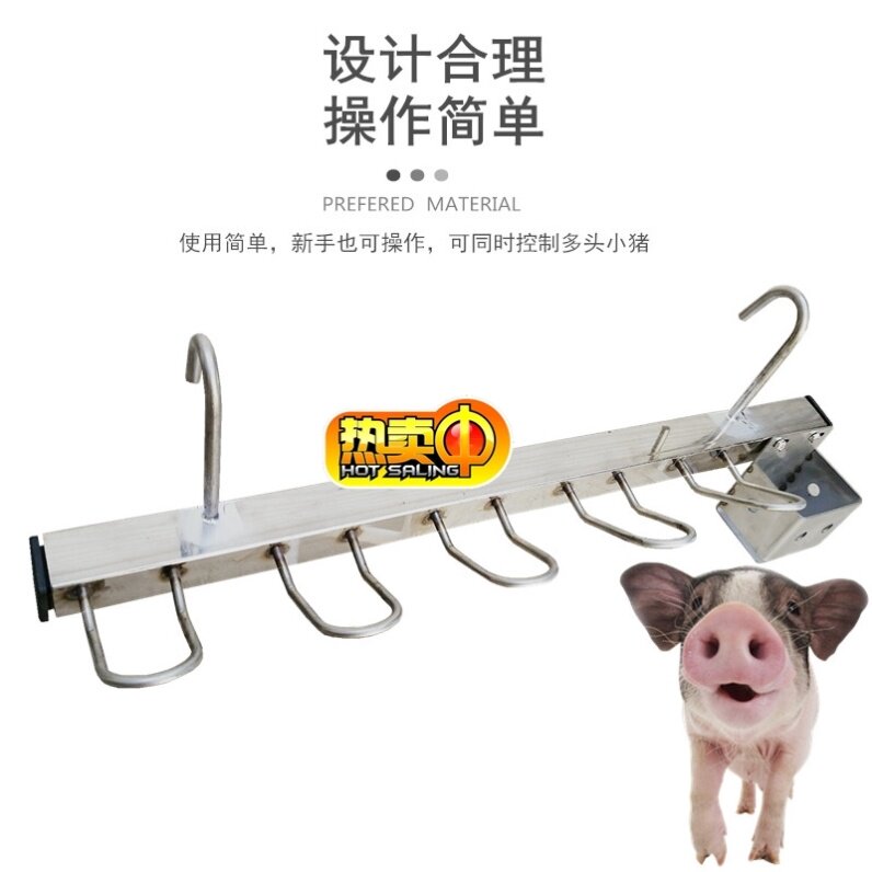 Breeding wall-mounted hogs to feed drugmakers and punches for piggy piglets fixed shelf piglet-hog-hanging beasts used to hang hogs.