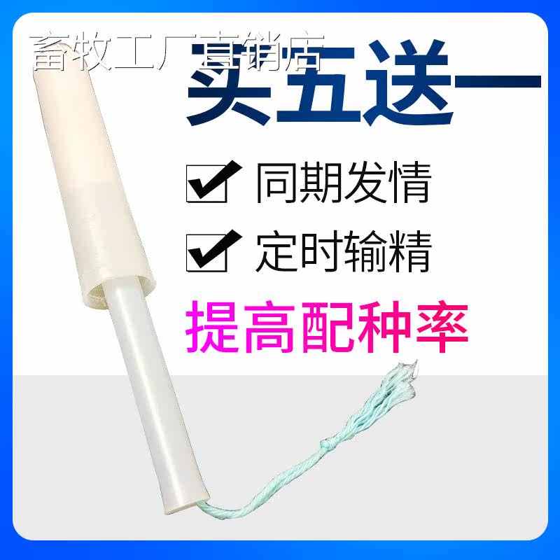 Sheep with sponge bolted beast with contemporanate cotton bolted mother goat serum back tedious goat tubular technique Vaginal Bolt