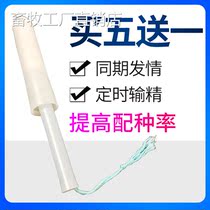 Sheep with sponge bolted beast with contemporanate cotton bolted mother goat serum back tedious goat tubular technique Vaginal Bolt