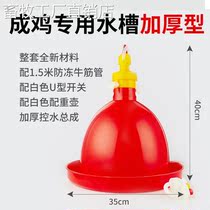 Raising the chick Miao thick and small chicken duck goose with automatic water drinker to feed water and water instrumental pot Bucket Raising 47864 Supplies