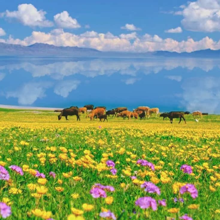 赛里木湖一日游：探秘大西洋最后一滴眼泪的奇幻之旅