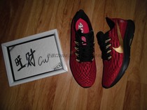 NIKE AIR ZOOM PEGASUS 36 NFL San Francisco 49ers training shoes CI1924-600