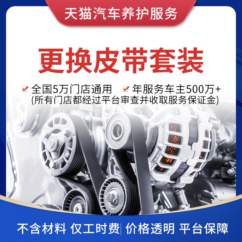 Sky Cat Car Conservation Service Water Pump Generator Belt set with idle wheel replacement work Fefe free of material