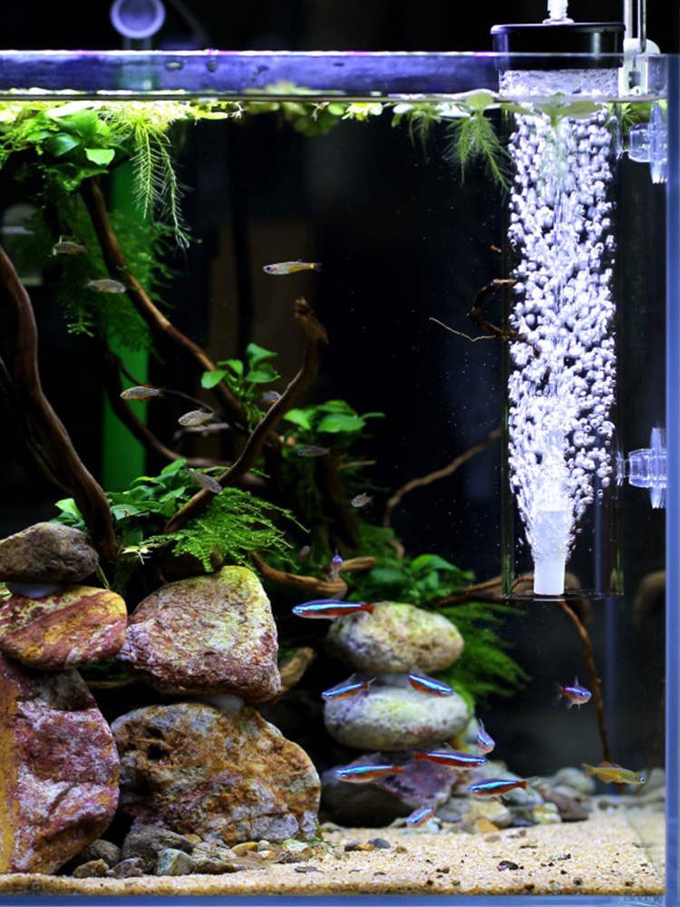 Field Park Walk High glass Dissolved Oxygen Instrumental Fish Tank Air Oxygen Air Pump Anti-Splash Thaw filter Anti-gas lift filter