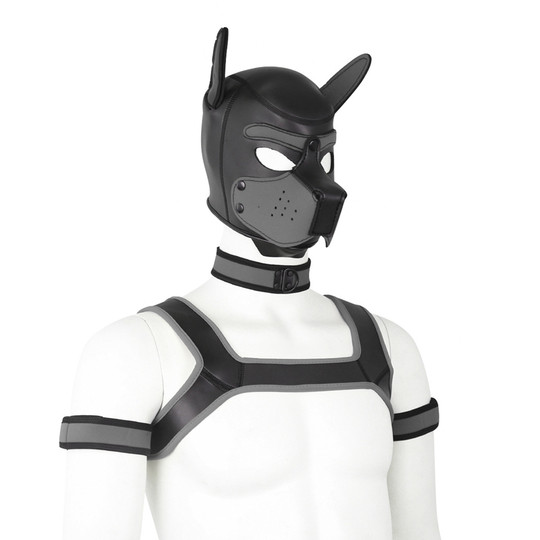 Halloween dog hooded person wearing prom mask full face removable opening role-playing little wolf dog props