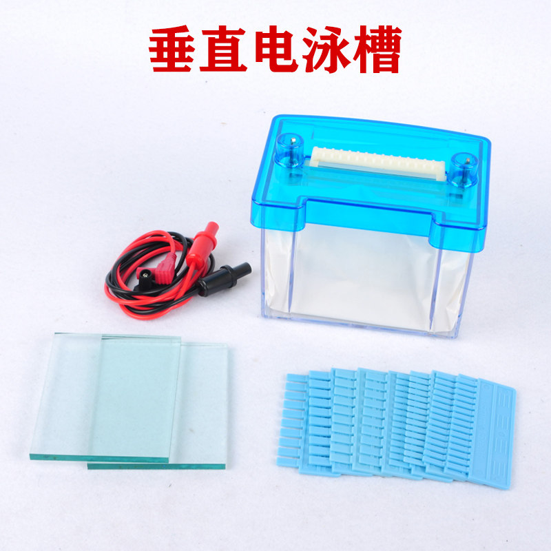 J27022/J27023水平电泳槽 垂直电泳槽 高中教具生物教学仪器实验器材