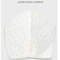 10 pieces of mask filter