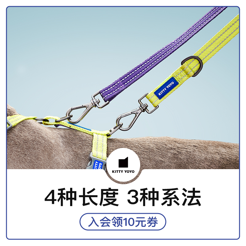 Kittyyoyo Explosion Protection Punching Double Head Dog Traction Rope Gold Wool Large Dog Rope Walking Dog Small Dog Dog Chain
