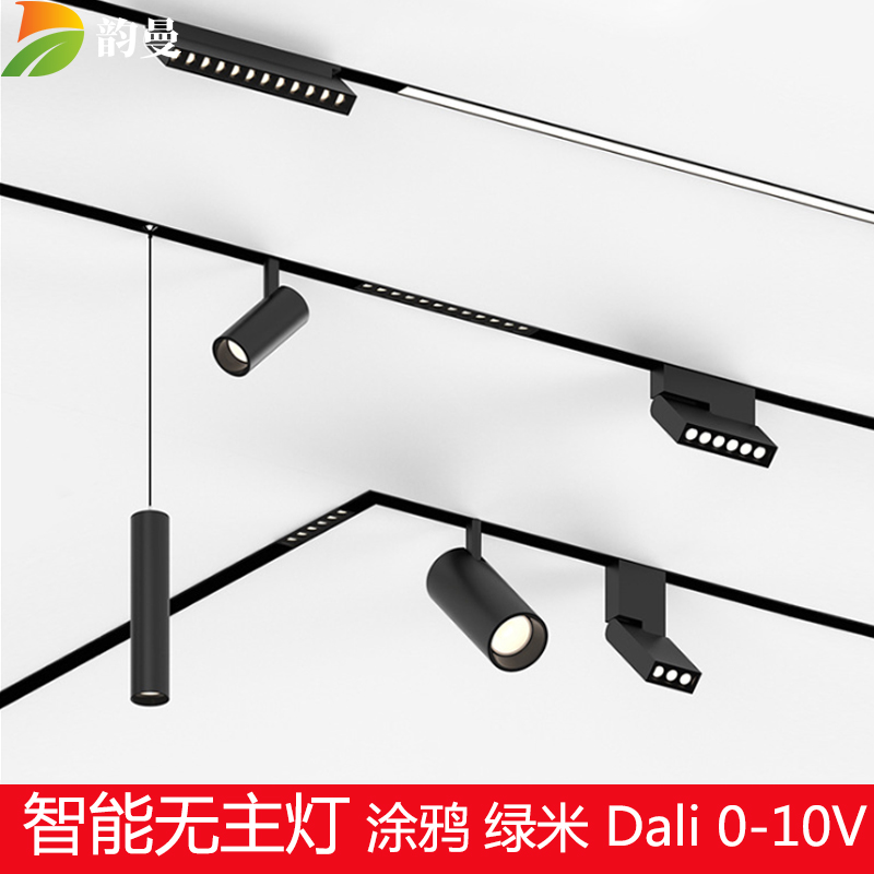Smart Magnetic Rail Spotlight Graffiti Zigbee DALI Green Rice Ou Ruibo 0-10V Dimming Color