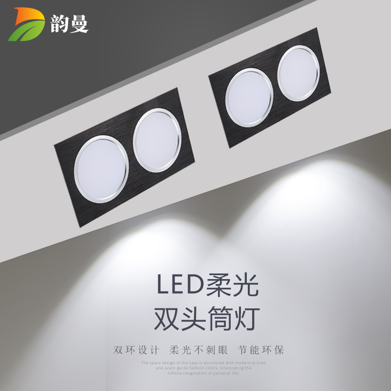 LED Double-Headed Rectangular Downlight Grille Light Black and White Silver Living Room Store Concealed Embedded Hole Eye Light