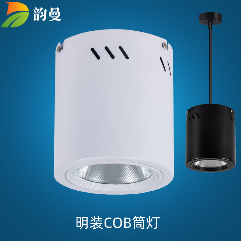 LED Surface Mounted Boom Suction Ceiling COB Engineering Downlight Showroom Shop Living Room 4 5 6 8 Inch 30 40W CREE
