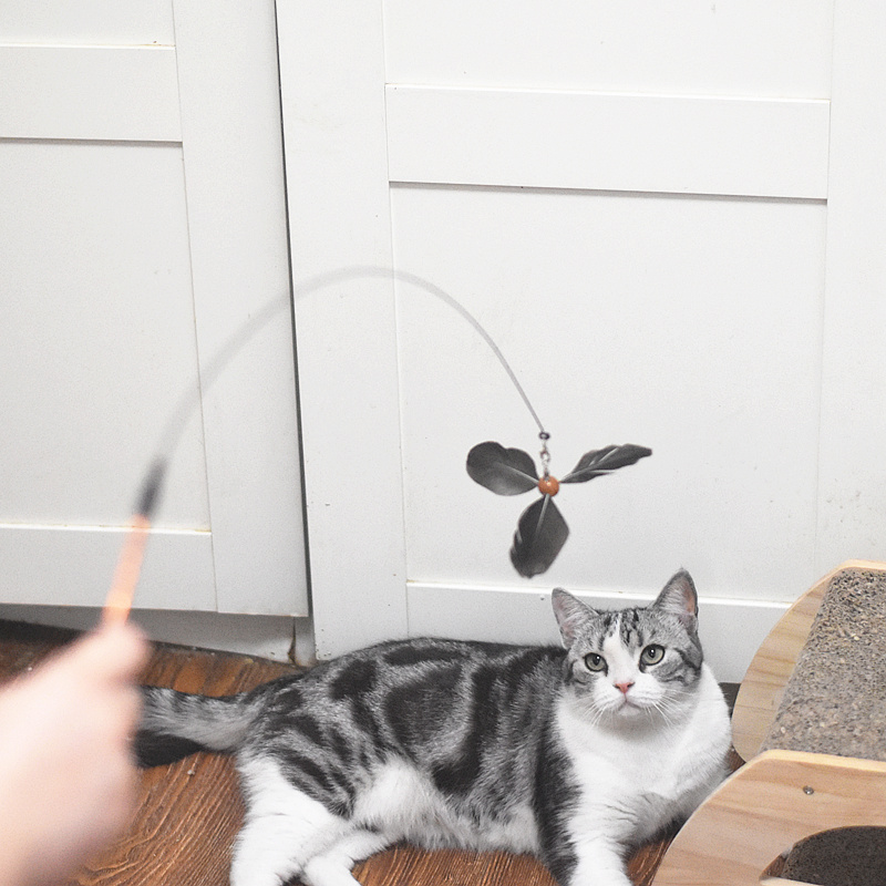 Wire funny cat stick feather simulation bird insect rotating windmill funny cat stick telescopic long pole bite resistant play set