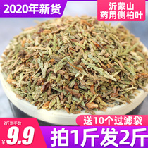 Side cypress leaf Wild black hair shampoo anti-hair loss sun-dried 500g Side cypress leaf fresh side Cypress leaf Chinese medicine