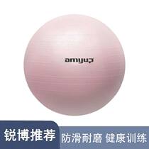 Ruibo selected yoga ball fitness ball thick explosion-proof Rehabilitation Fitness weight loss body