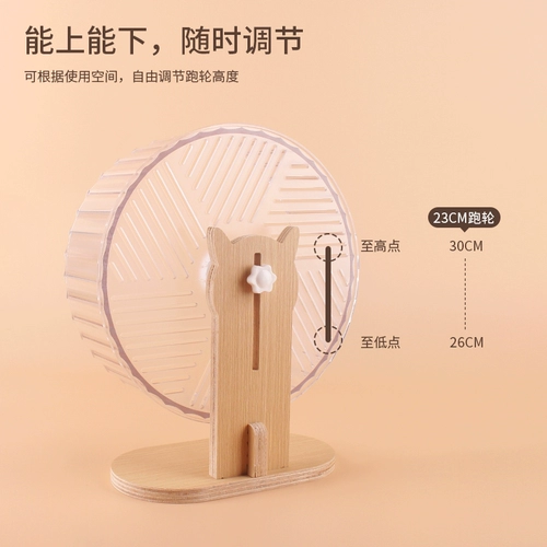 Крысовая звезда шариковой хомяк бегущий колесо шумно, ленточный AI, бегущий ролик специальные продукты ландшафтного дизайна Золотой шелковый медведь 21 клетка