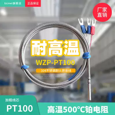 WZP-PT100 platinum thermal resistance high temperature PT100 platinum resistance 500 degree thermal resistance refractory metal shielding wire