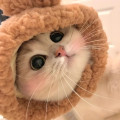 宠宠小猫酱