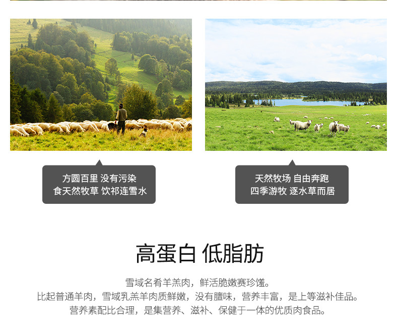 西牛优选  雪域乳羔羊羊肉套餐  1100g 图4