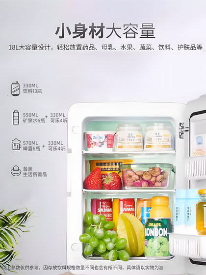 新飞20L小冰箱小型迷你宿舍用车载冰箱冷藏冷热箱220V12V车家两用