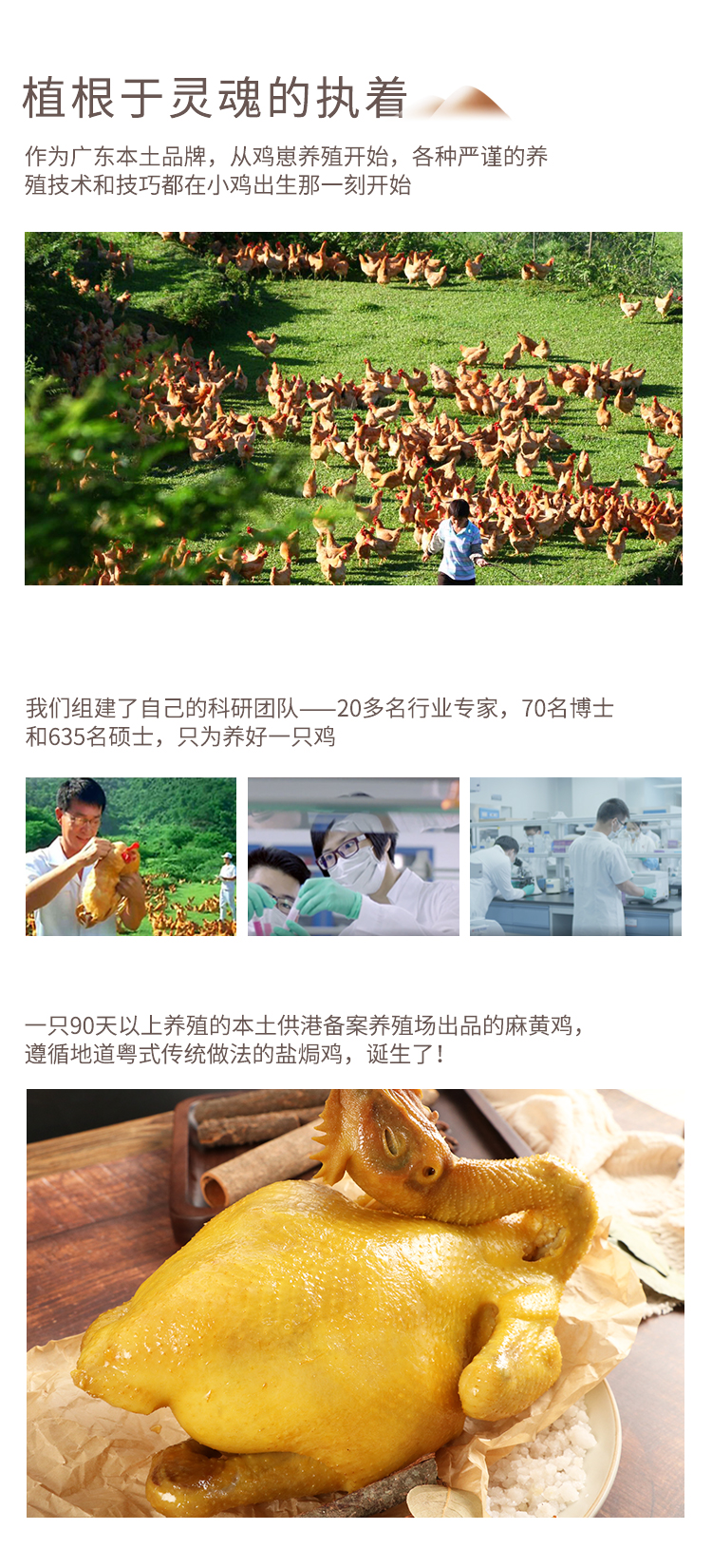 知名上市公司 温氏 供港盐焗鸡 700g 广式经典 图6