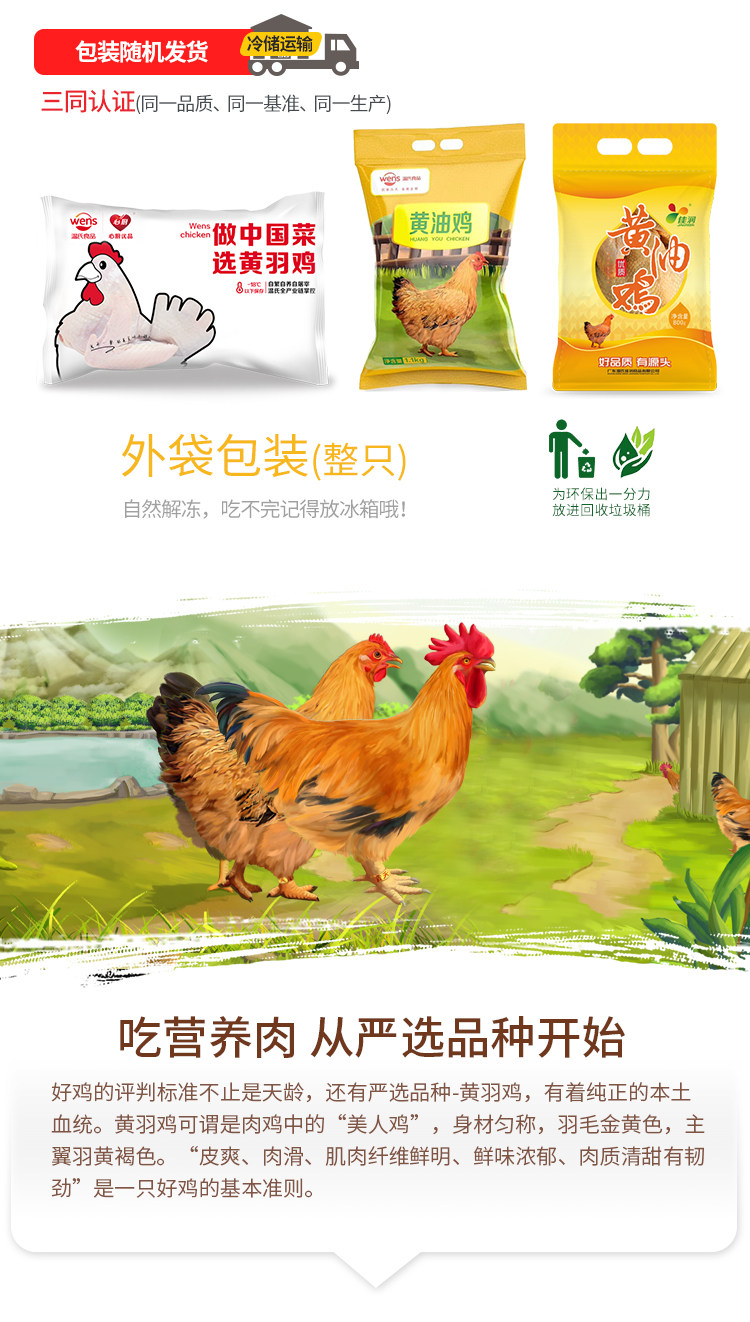 上市公司 温氏 供港黄油鸡 800g*2只 图5