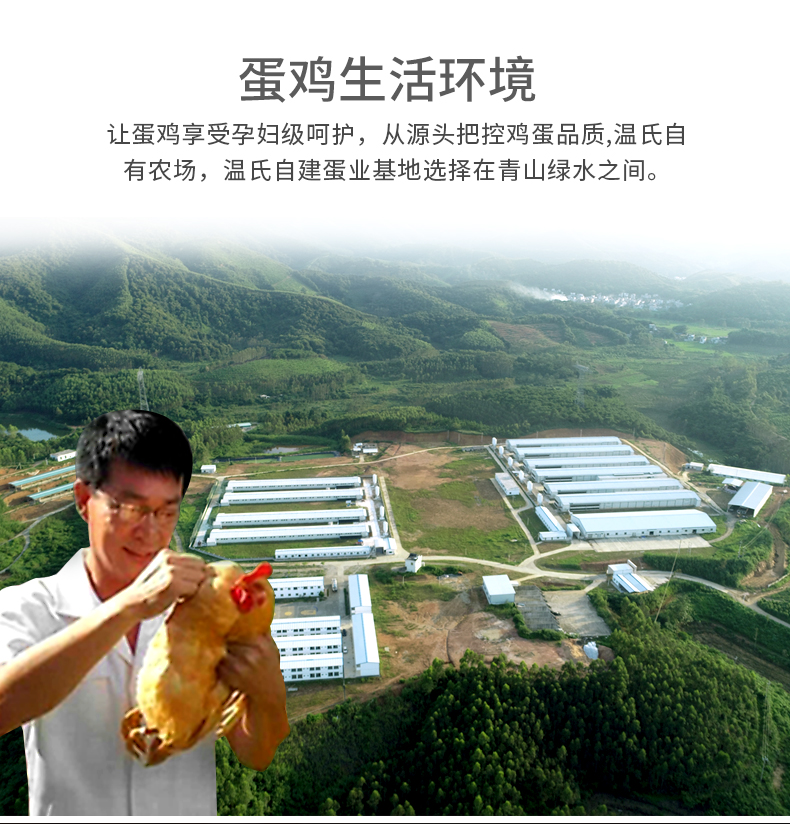 温氏 供港优级土鸡蛋 30枚/1200g 图2