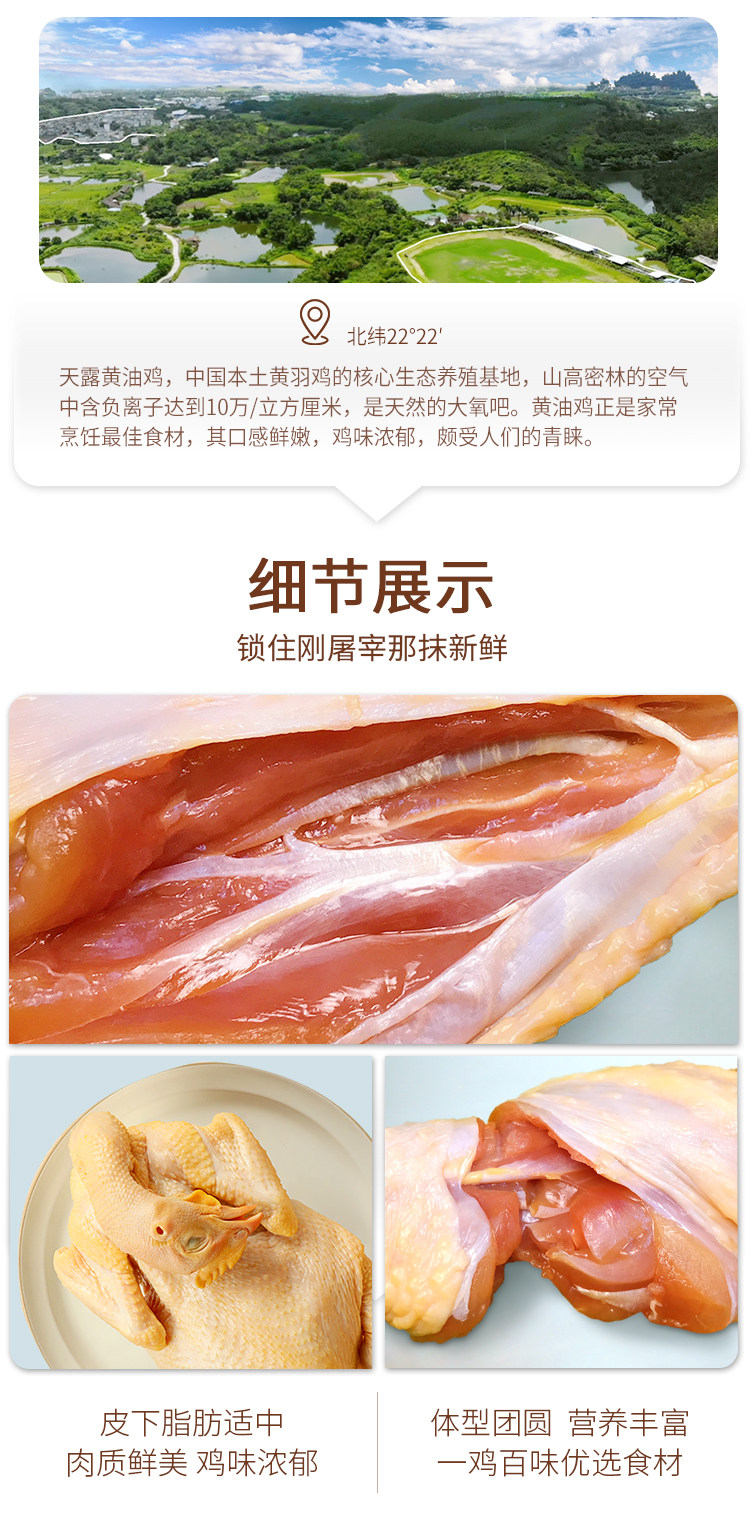 上市公司 温氏 供港黄油鸡 800g*2只 图6