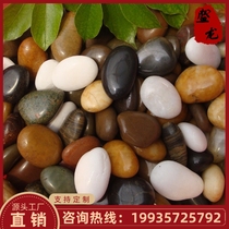 Guiyang Rain Flower Stone Cobble Pebble Black White Colorful Fish Tank Flower Pot Soft Stone Courtyard Decoration Paved view