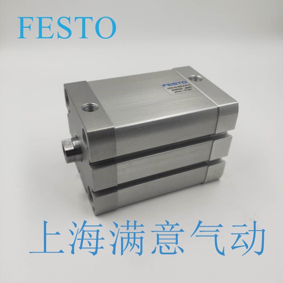 Feestrust cylinder ADN-12-5-10-15 16-20-25-32-40 50-80-70-100-100-100-I-A-P-A