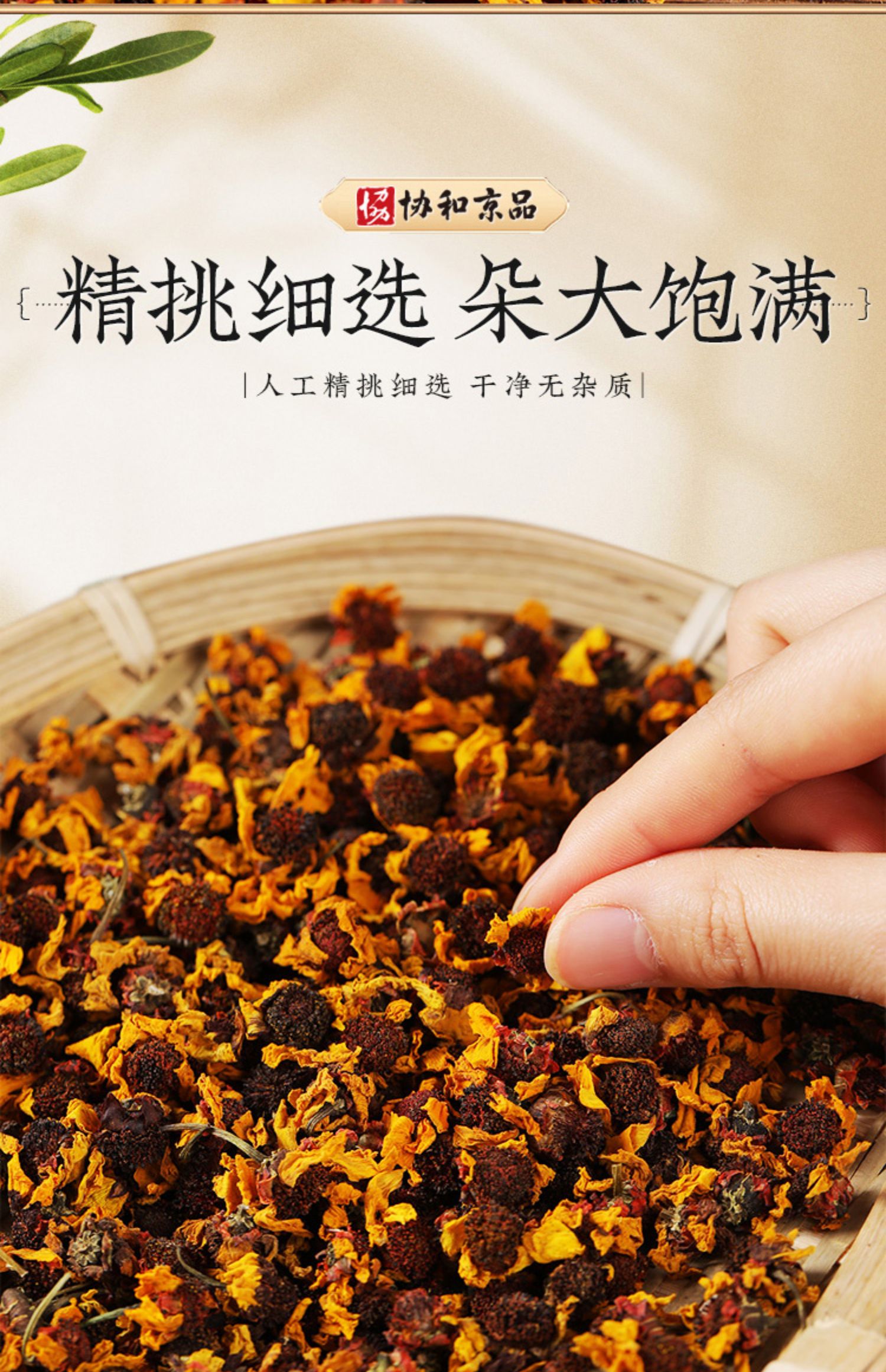 【协和京品】新疆昆仑雪菊