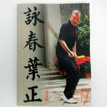 咏春叶正 叶问之子叶正传咏春拳小念头寻桥标指六点半棍法八斩刀