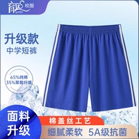 Шорты, модернизированная версия