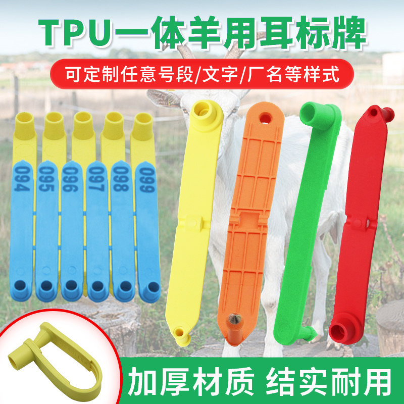 TPU连体羊用耳标耳号牌兽用对折标识牌进口一体羊耳朵定制标记牌
