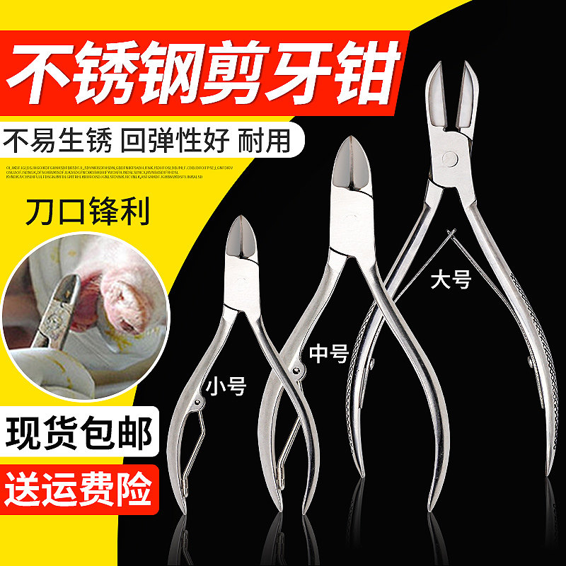 智牧人兽用剪猪牙钳不锈钢仔猪剪牙钳兔修牙钳兽用剪齿钳猪断牙钳