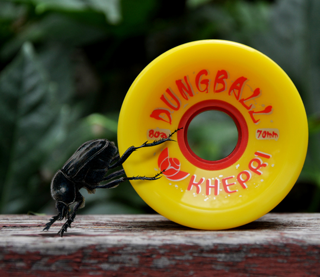 Skate ANGUS - Ref 2595962 Image 18