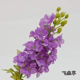 G11 Feiyan трава смешанный цвет цветочные семена ningxia Маленький муравей балкон -садовый ландшафт Многословный 1g около 120 капсул