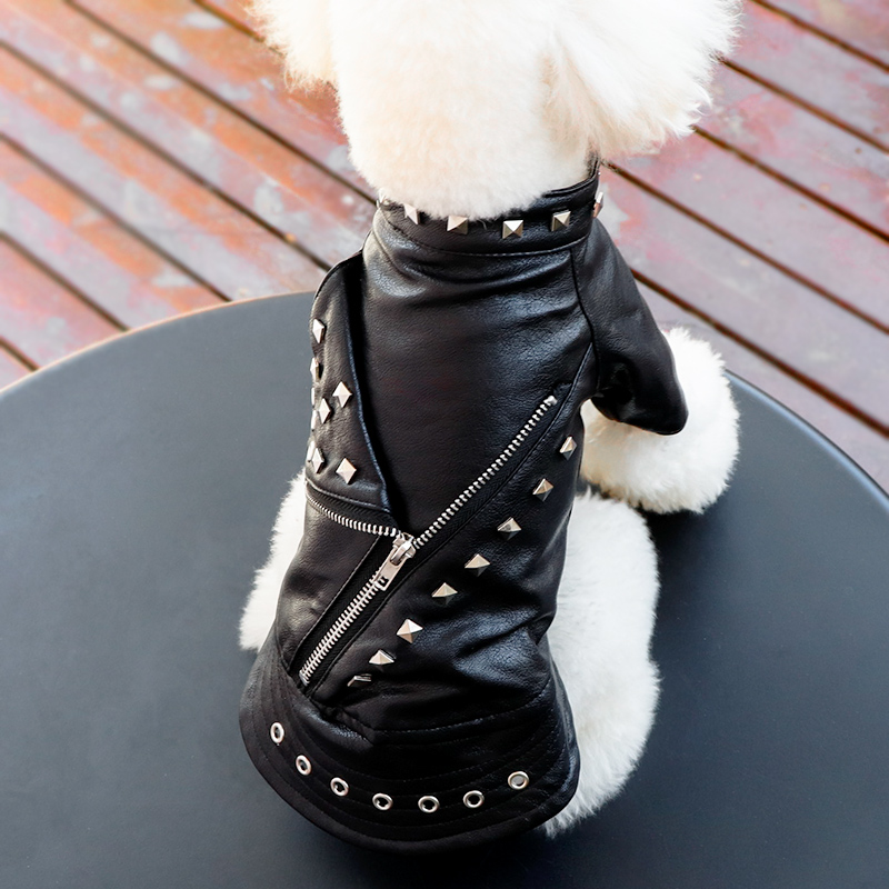2021 new pet fashion leather clothing teddy pooch clothes spring and autumn cash in winter clothing kitty Kitty Baby Boom Korean version