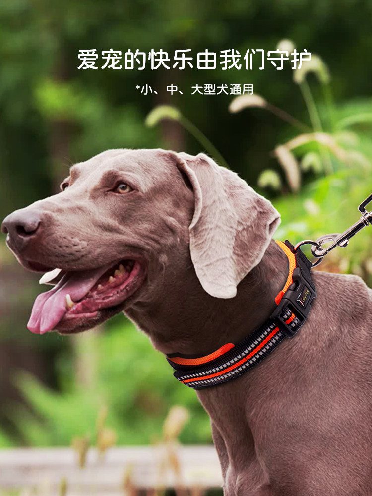 Dog Collar Corgi Dog Collar Collar Medium Pet Golden Retriever Small Dog Teddy Large Dog Collar Dog Tag